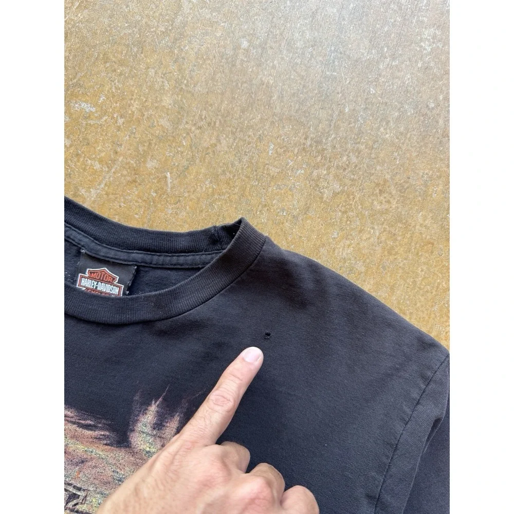 Harley Davidson Faded & Distressed Flames Wolf Minneapolis Biker Y2K T-Shirt (L)